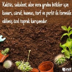 Kaktüs Sukulent Toprağı Özel Karışımlı Organik Toprak 3 LT (Kuvars, Cüruf, Humus, Torf ve Perlit)