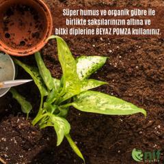 BAHÇE VE DIŞ MEKAN BİTKİLERİ KİTİ - Bitkileriniz için özel karışım