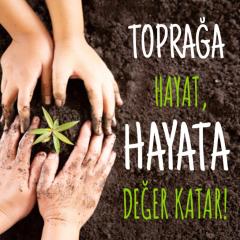 BAHÇE VE DIŞ MEKAN BİTKİLERİ KİTİ - Bitkileriniz için özel karışım