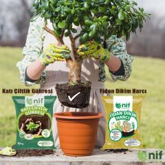 FİDAN DİKİM KİTİ - Fidanlarınızın sağlıklı gelişimi için