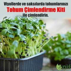 TOHUM ÇİMLENDİRME KİTİ 2- Çiçek Meyve ve Sebze Tohumlarınız İçin Özel Karışım
